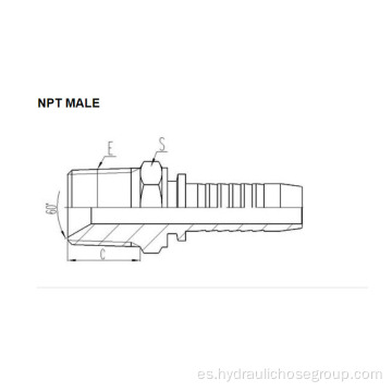 Rosca NPT macho 15611